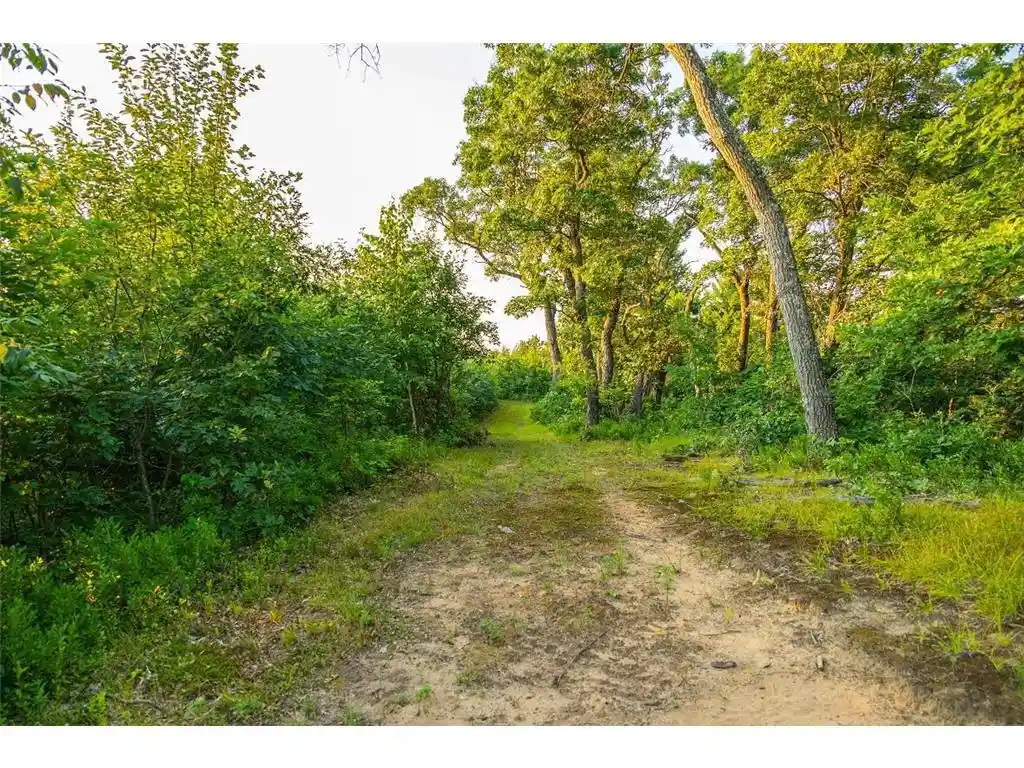 Photo 4 of Sale Pending at 0 Co Rd S, Blair, WI 54616 | MLS# 7055072 | Listing updated on 2026-09-23