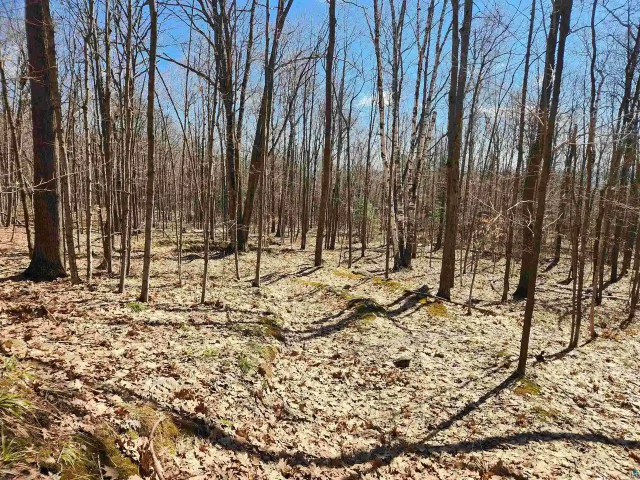 Photo 2 of Land for sale at 86580 State Hwy 13, Bayfield, WI 54814 | MLS# 6124740 | Listing updated on 2026-04-29