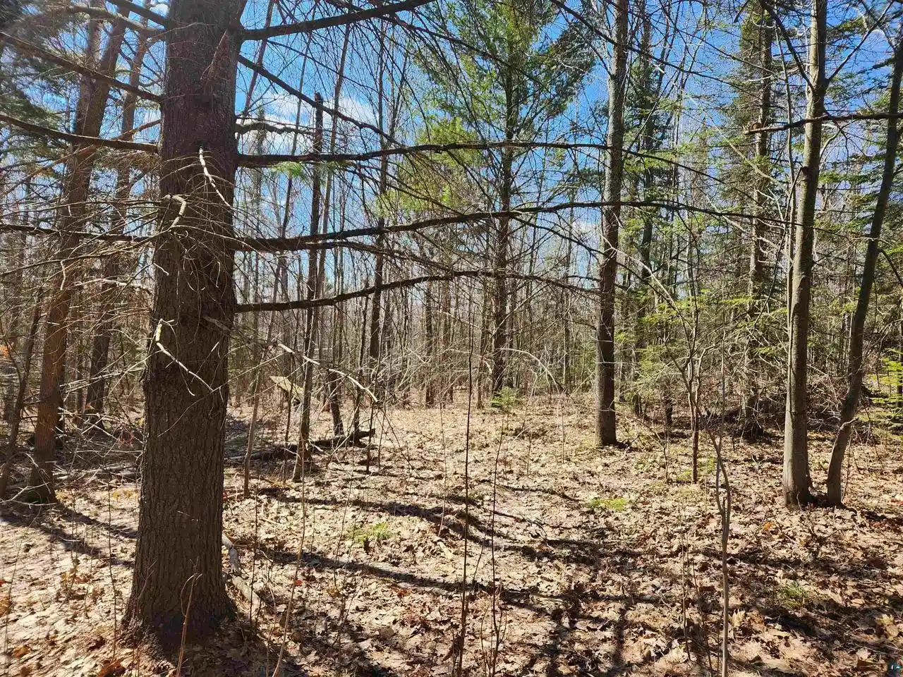 Photo 12 of Land for sale at 86580 State Hwy 13, Bayfield, WI 54814 | MLS# 6124740 | Listing updated on 2026-04-29