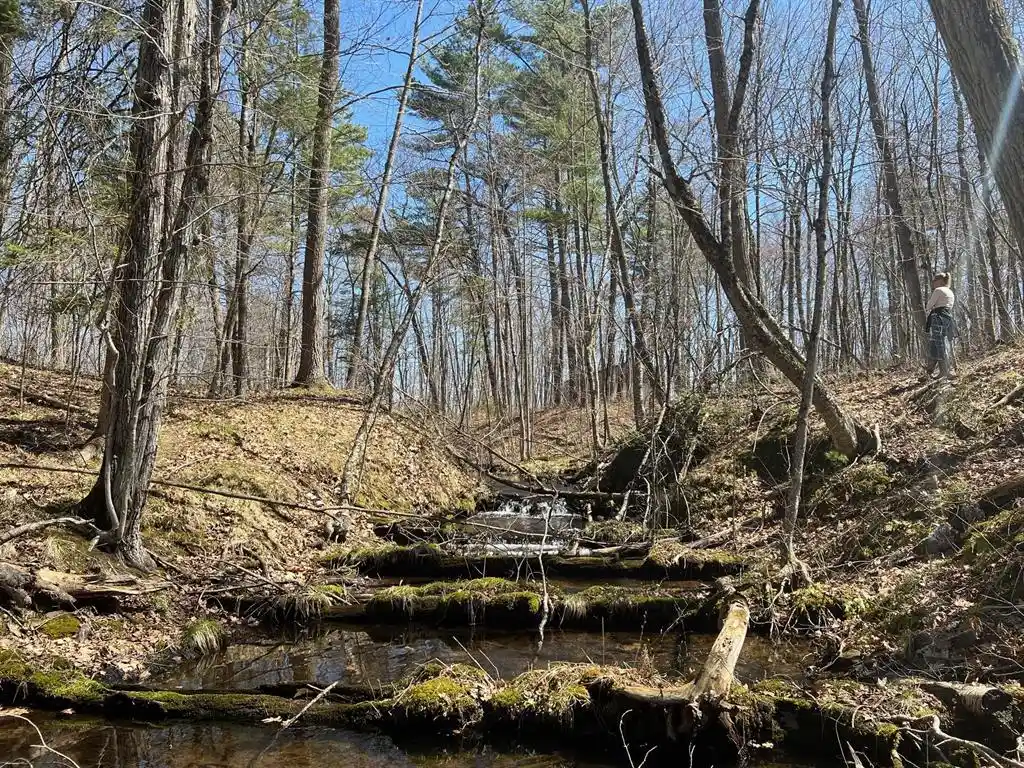 Photo 4 of Land for sale at Tbd Red Oak Lane Lane, Stone Lake, WI 54876 | MLS# 1600228 | Listing updated on 2026-04-29