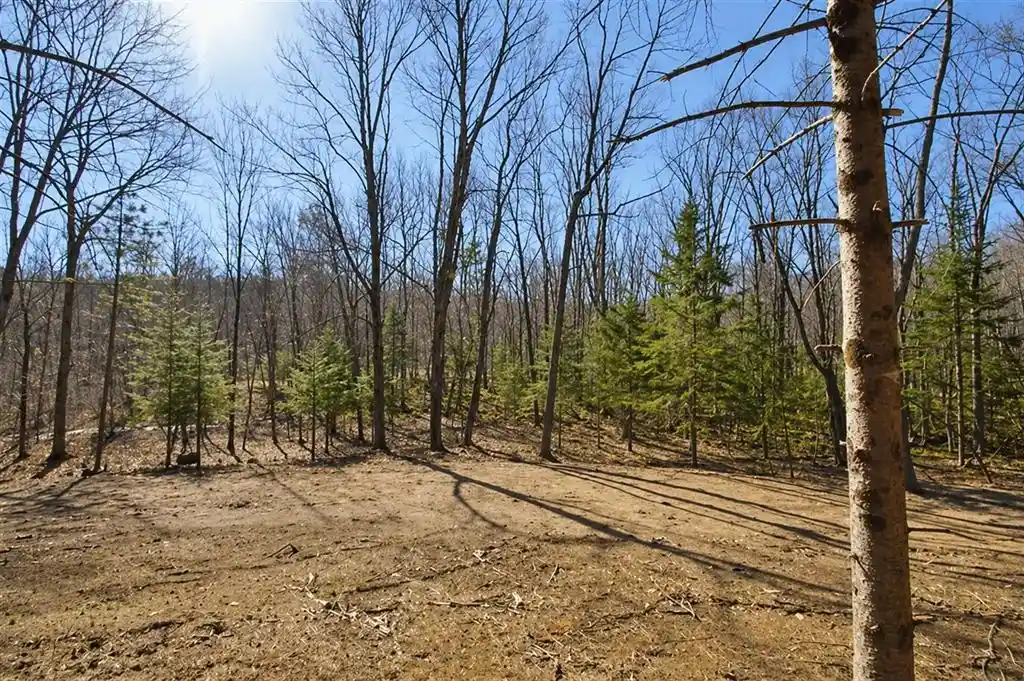 Photo 2 of Land for sale at 0 Ranch Road Road, Stone Lake, WI 54876 | MLS# 1600353 | Listing updated on 2026-08-18