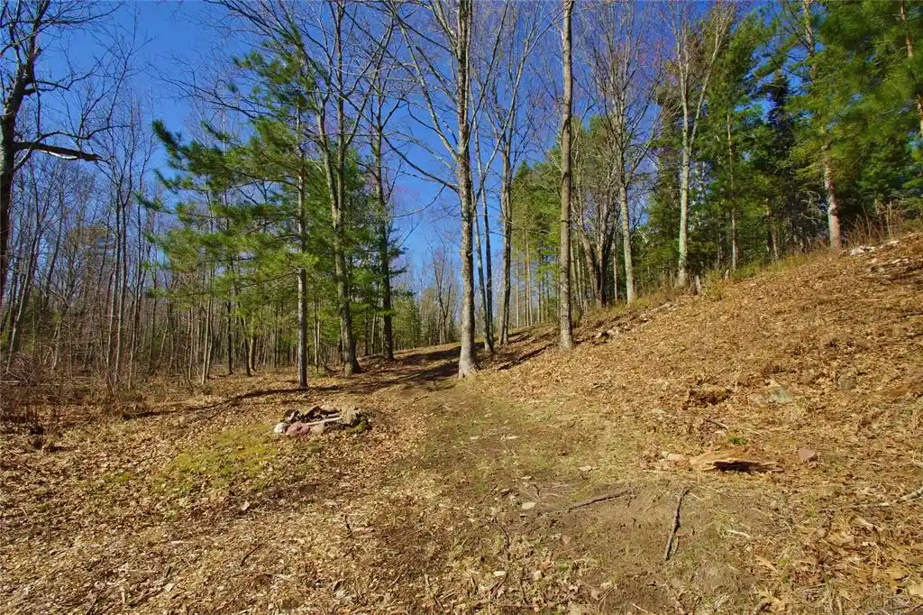 Photo 15 of Land for sale at 0 Ranch Road Road, Stone Lake, WI 54876 | MLS# 1600353 | Listing updated on 2026-08-18