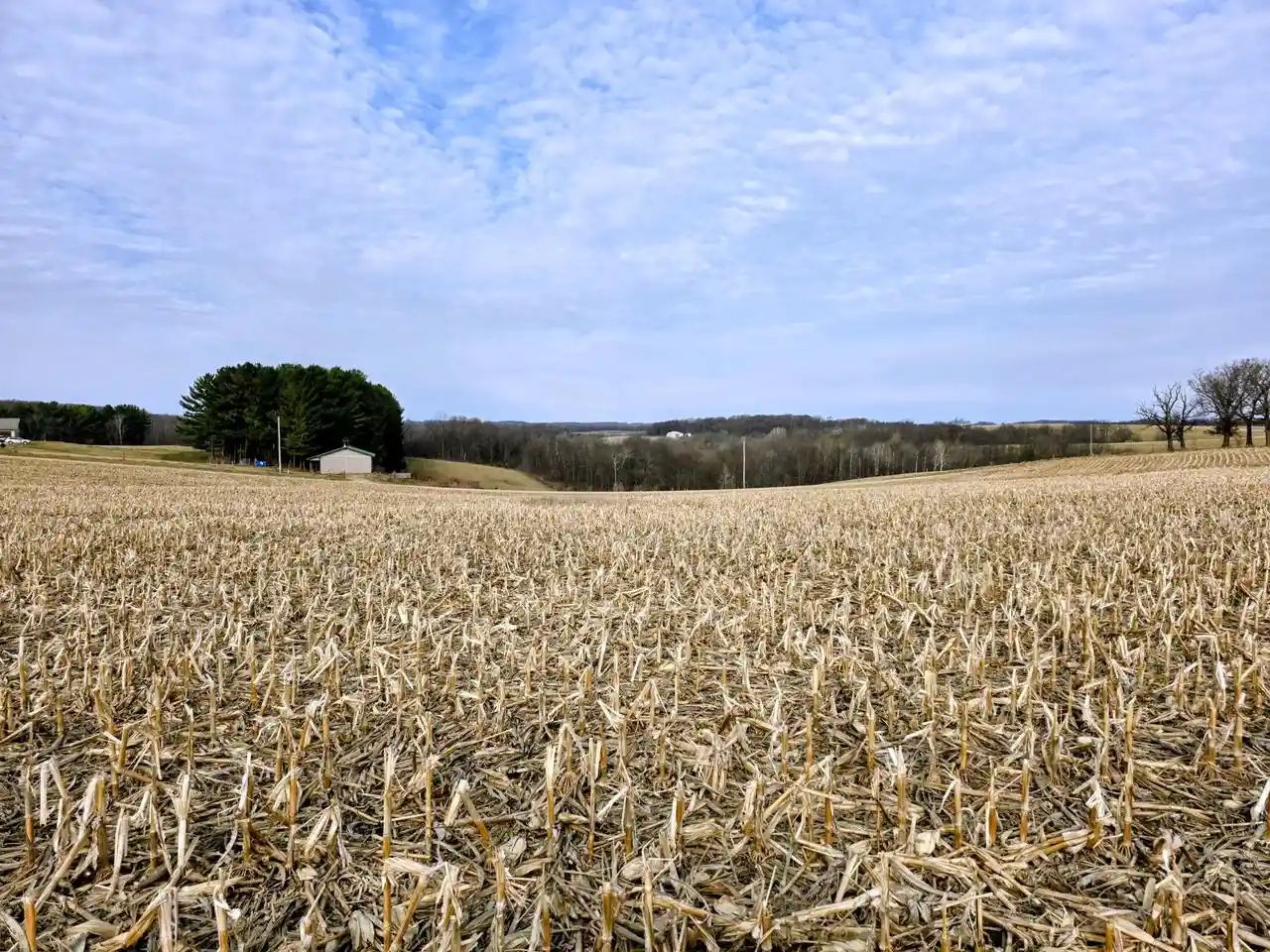 Homes for sale in Viroqua, WI | 0 Stump Ridge Road Road, Viroqua, WI 54665 | MLS# 1959627
