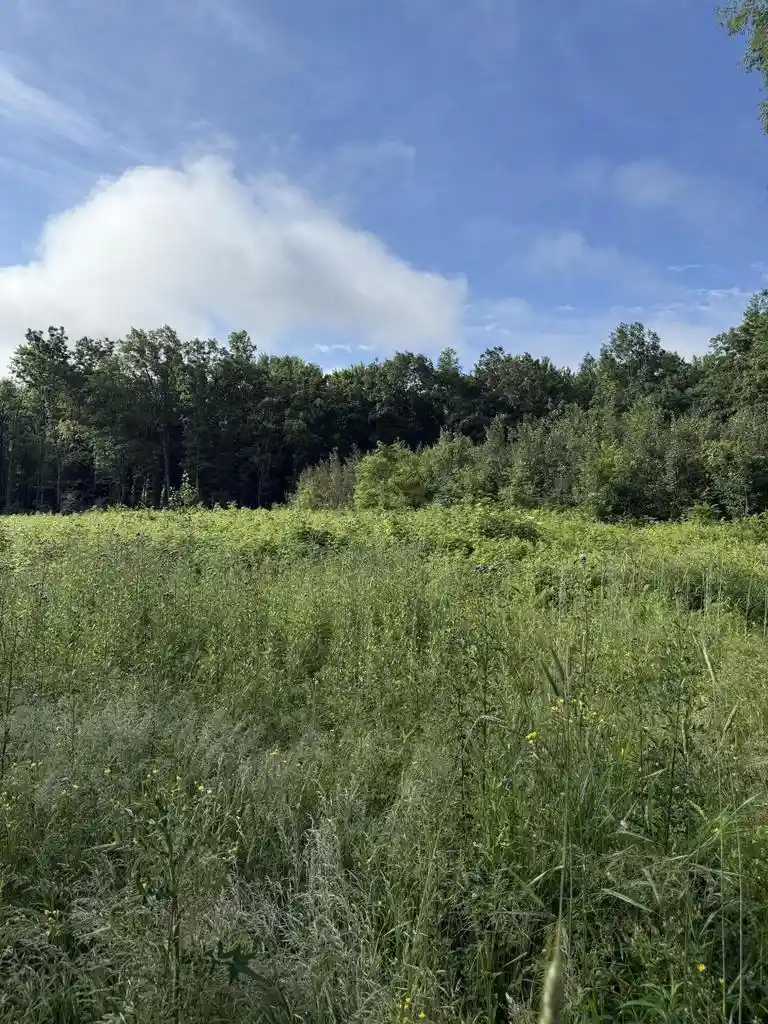 2nd image of Hwy Z , 21 #21, Redgranite, WI 54970 | MLS# 1959675