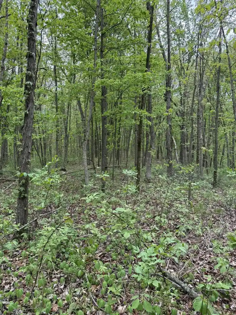 8th image of Hwy Z , 21 #21, Redgranite, WI 54970 | MLS# 1959675