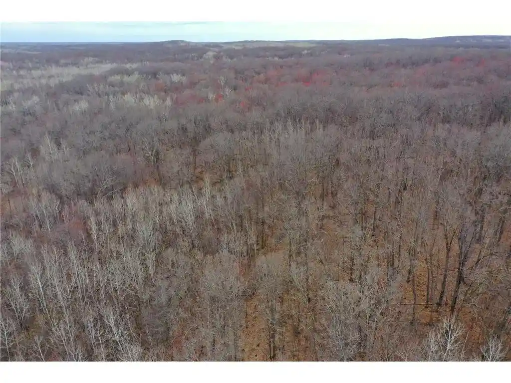 Homes for sale in Trego, WI | Tbd Barrett Trail Trail, Trego, WI 54888 | MLS# 7062573