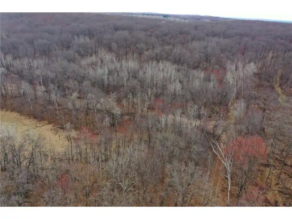 Homes for sale in Trego, WI | Tbd Barrett Trail Trail, Trego, WI 54888 | MLS# 7062573