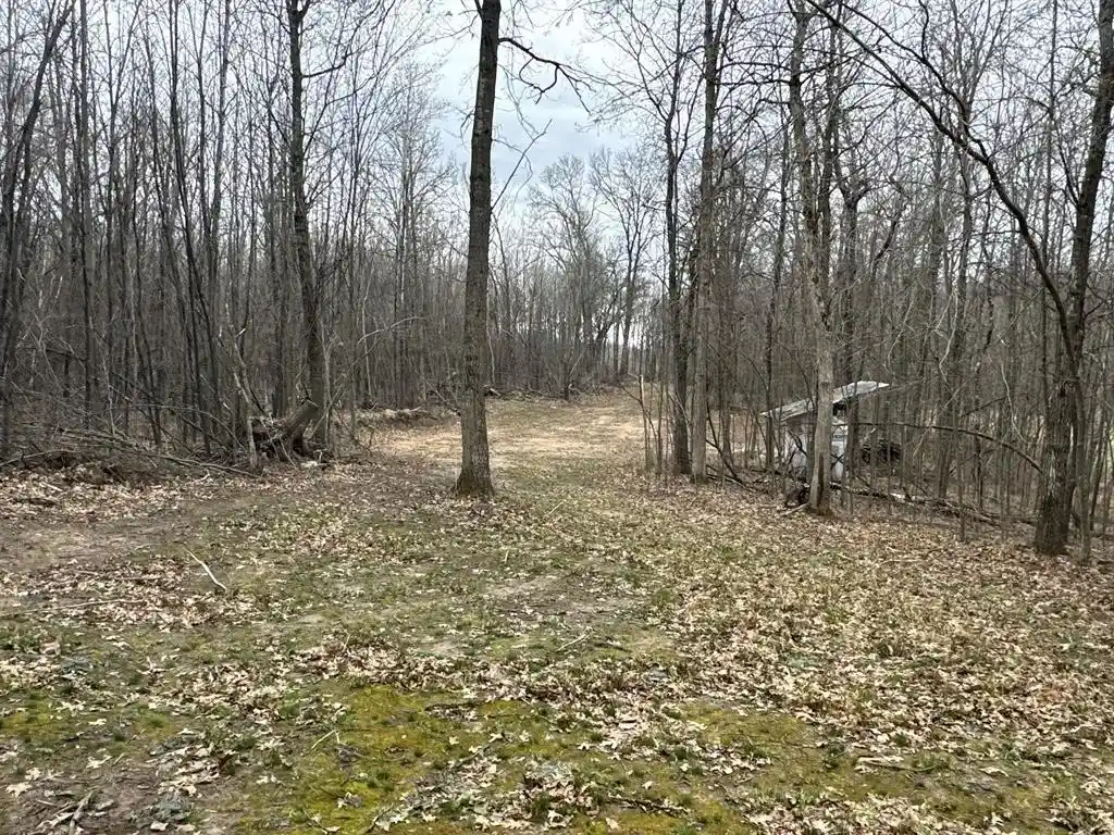 4th image of Tbd Barrett Trail Trail, Trego, WI 54888 | MLS# 1600463