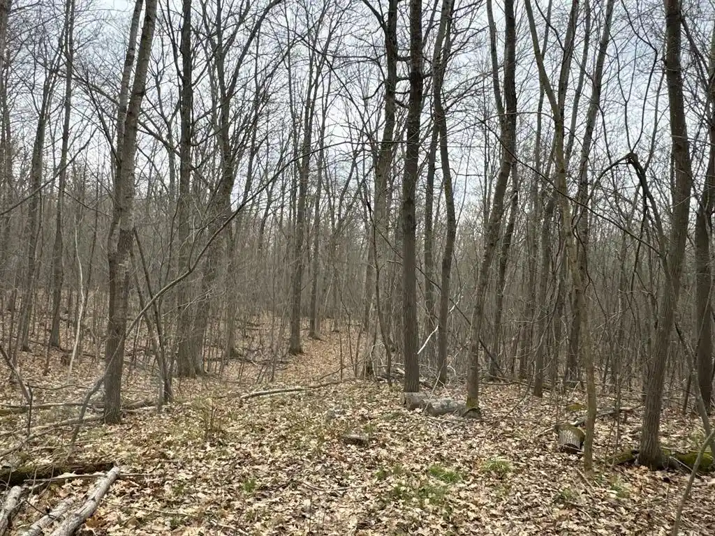 5th image of Tbd Barrett Trail Trail, Trego, WI 54888 | MLS# 1600463