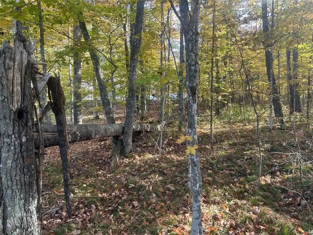 5th image of 11404 Farnsworth Road Road, Hayward, WI 54843 | MLS# 1600475