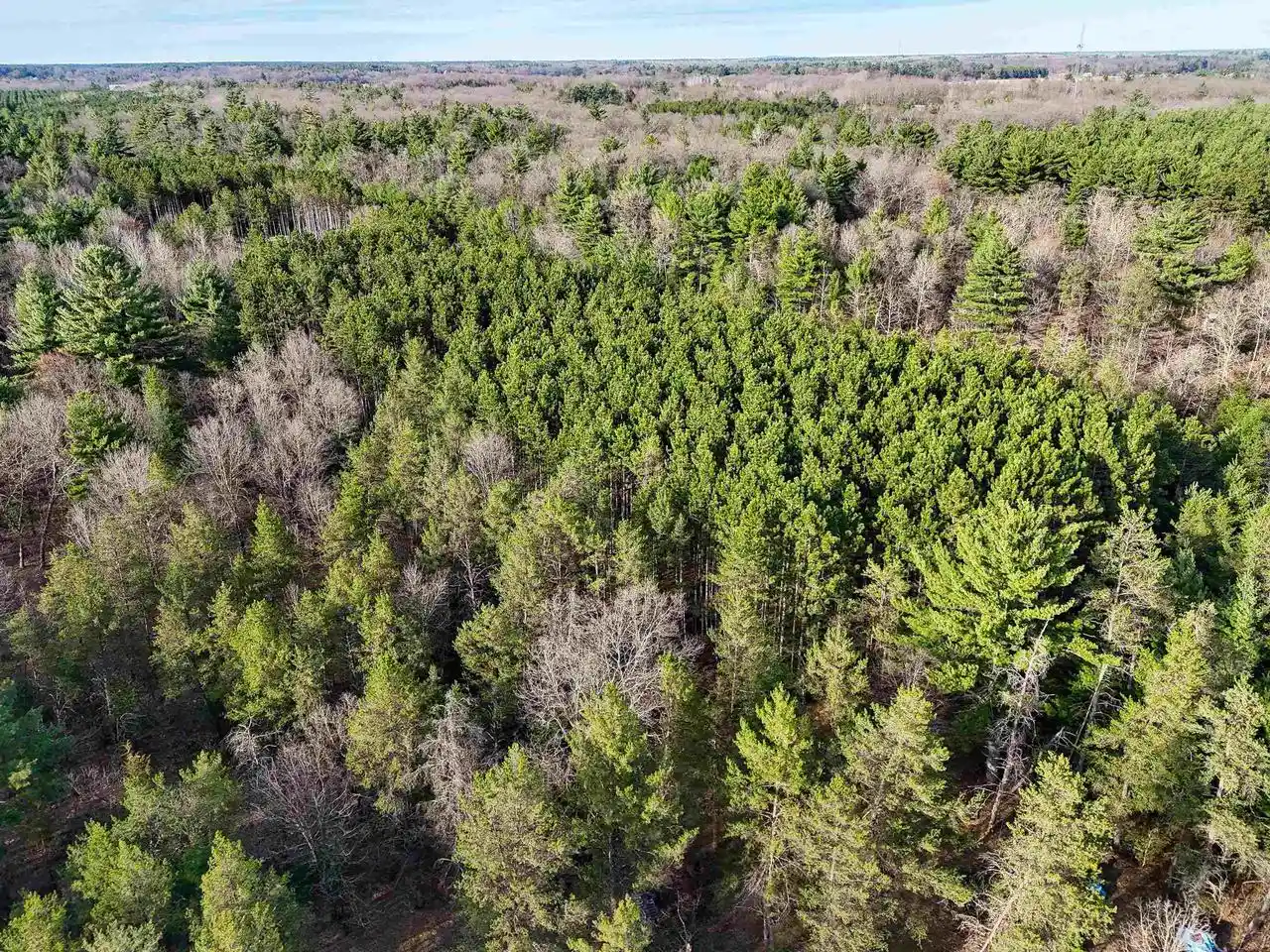 4th image of 1639 & 1641 20Th Avenue Avenue, Arkdale, WI 54613 | MLS# 2021826