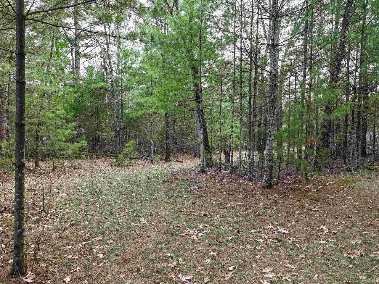 Homes for sale in Arkdale, WI | 1641 20Th Avenue Avenue, Arkdale, WI 54613 | MLS# 2021829