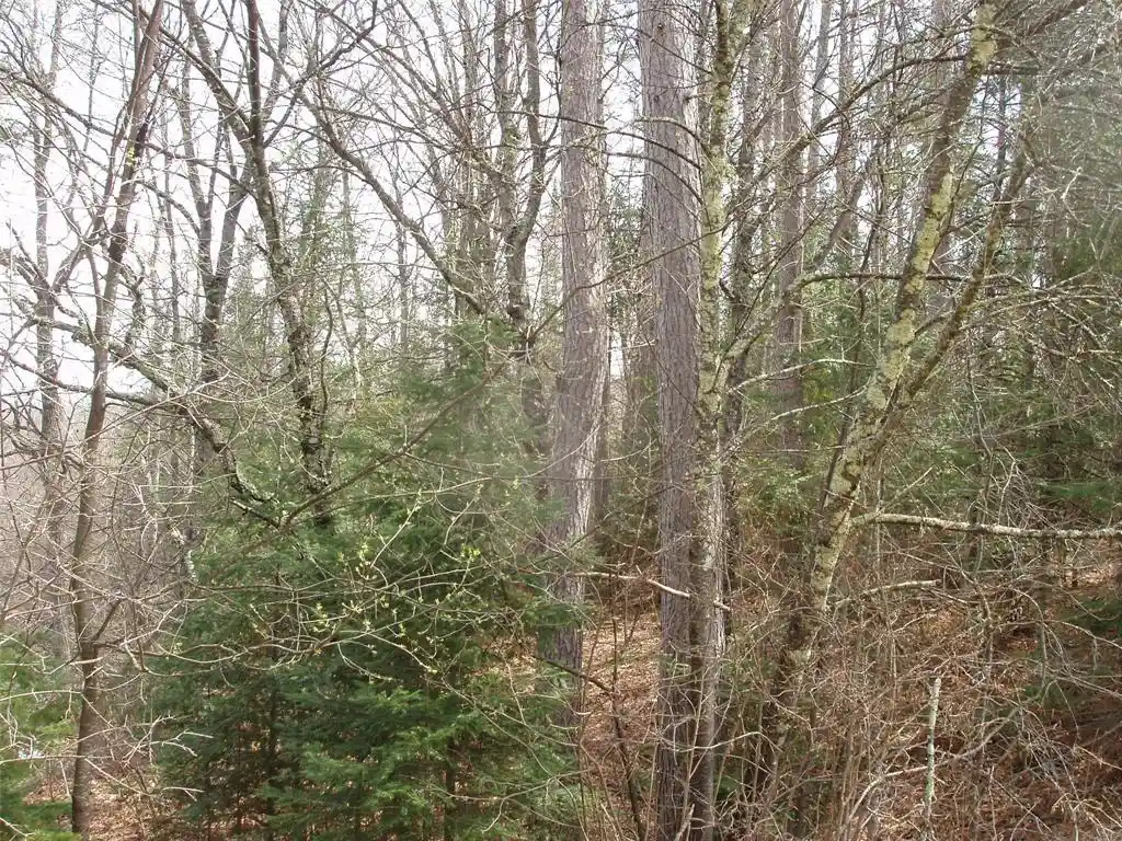45th image of W9798 Fleming Road Road, Park Falls, WI 54552 | MLS# 1600486