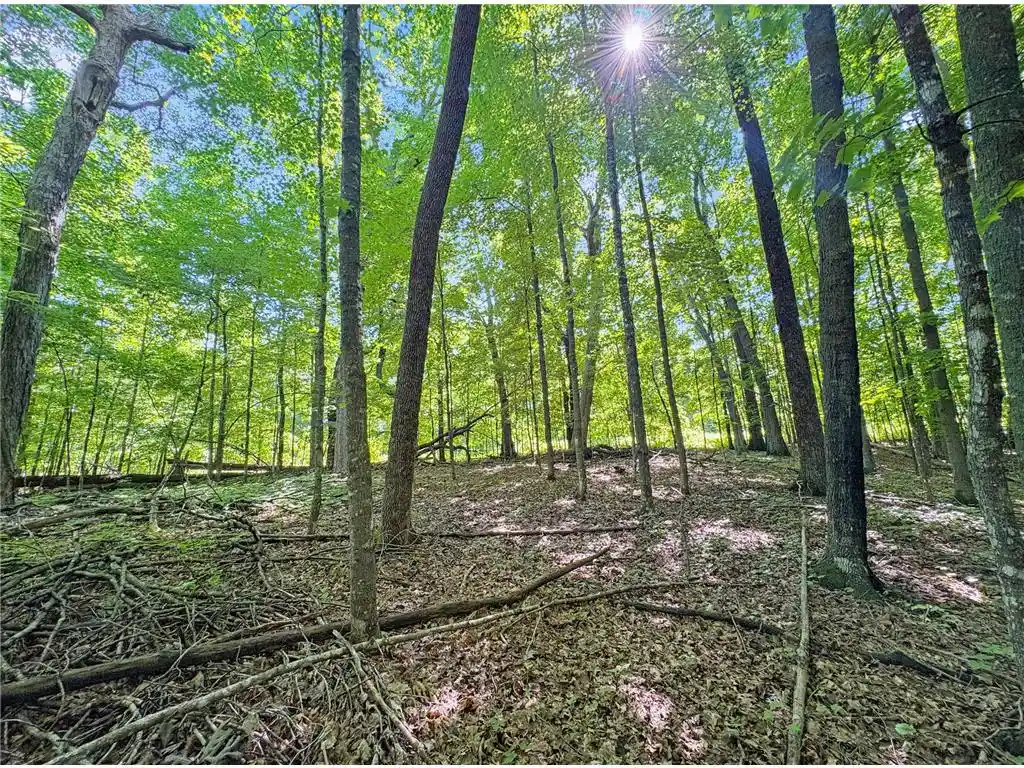 Photo 3 of Land for sale at Tbd 85Th Street, Frederic, WI 54837 | MLS# 7064122 | Listing updated on 2026-07-13