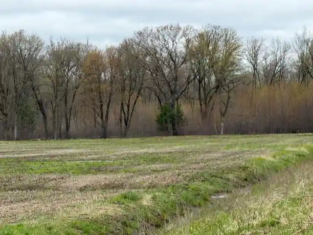 2nd image of 62 Acres State Hwy 54, Wisconsin Rapids, WI 54495 | MLS# 22601716