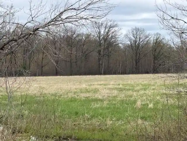 3rd image of 62 Acres State Hwy 54, Wisconsin Rapids, WI 54495 | MLS# 22601716