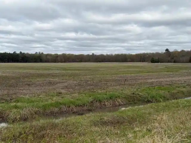 4th image of 62 Acres State Hwy 54, Wisconsin Rapids, WI 54495 | MLS# 22601716