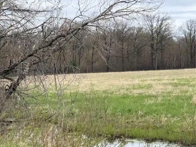 5th image of 62 Acres State Hwy 54, Wisconsin Rapids, WI 54495 | MLS# 22601716