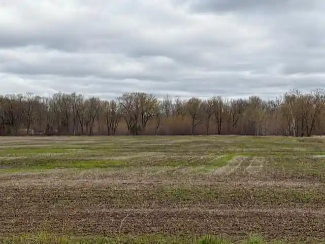 5th image of 38 Acres State Hwy 54, Wisconsin Rapids, WI 54495 | MLS# 22601721