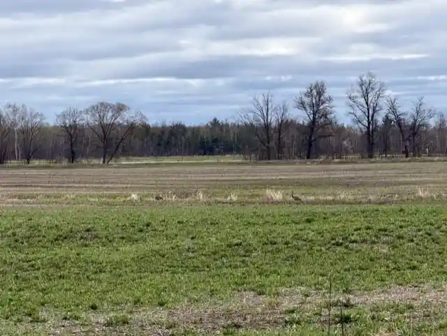 8th image of 38 Acres State Hwy 54, Wisconsin Rapids, WI 54495 | MLS# 22601721