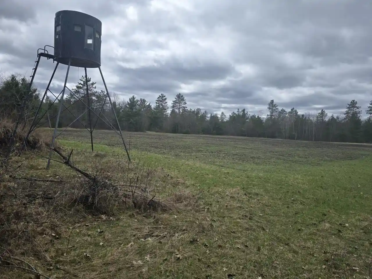 Photo 3 of Land for sale at Hwy 141, Niagara, WI 54151 | MLS# 50324512 | Listing updated on 2026-07-01