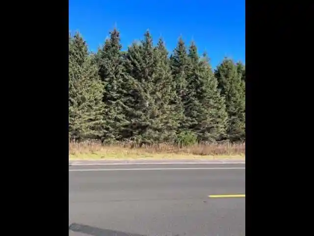 Photo 3 of Land for sale at 219 Acres Riverview Dr Dr, Stevens Point, WI 54481 | MLS# 22601732 | Listing updated on 2026-09-22