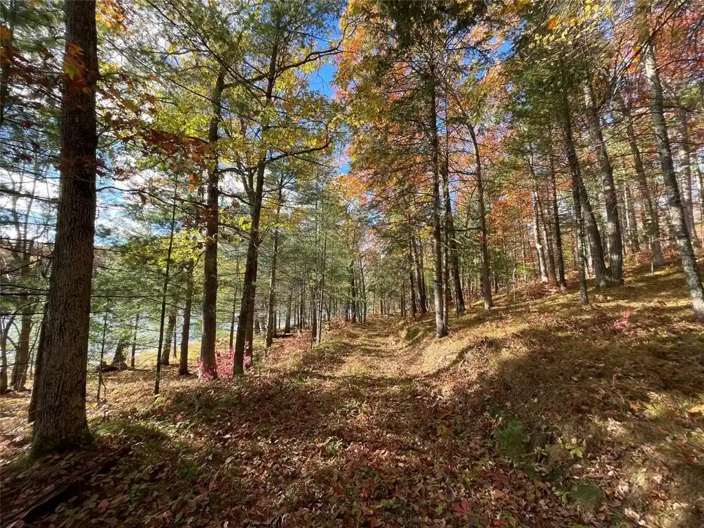 2nd image of 7 W Tanager Trail Trail, Hayward, WI 54843 | MLS# 1600612