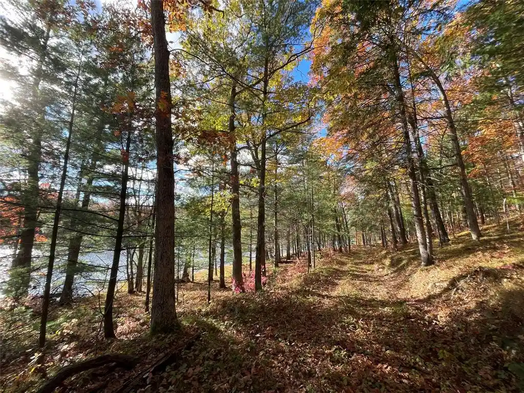 3rd image of 7 W Tanager Trail Trail, Hayward, WI 54843 | MLS# 1600612