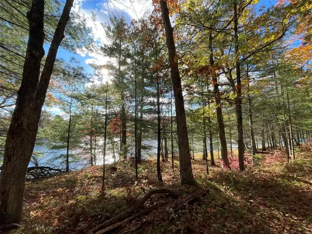 5th image of 7 W Tanager Trail Trail, Hayward, WI 54843 | MLS# 1600612