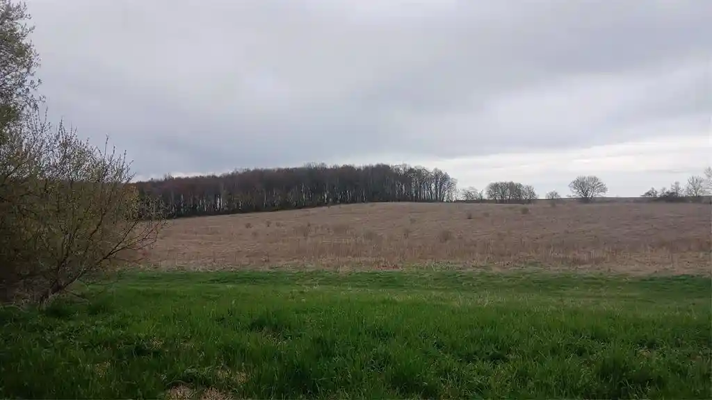 Homes for sale in Bloomer, WI | 62 Acres 82Nd St, Bloomer, WI 54724 | MLS# 1600448