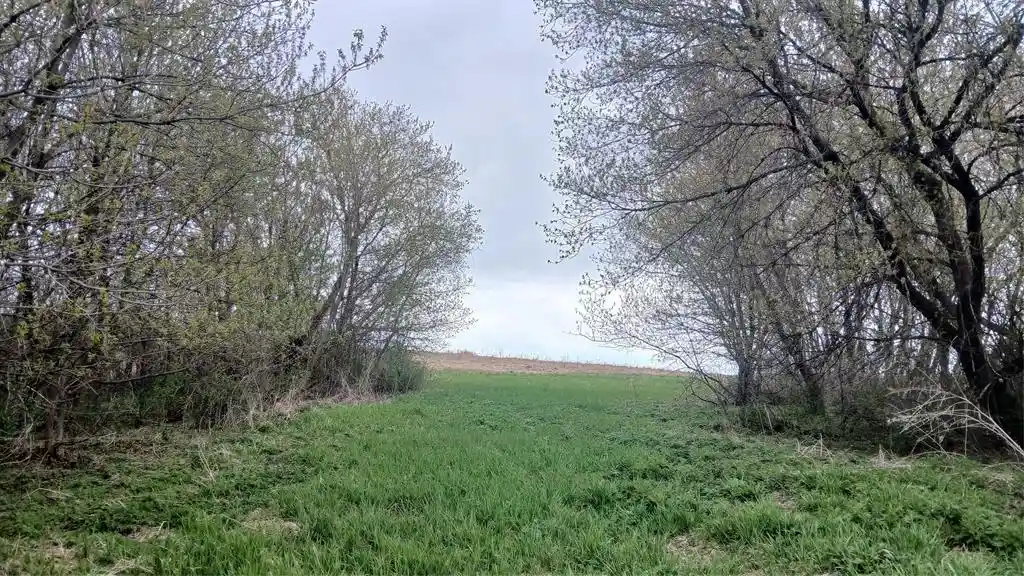 Homes for sale in Bloomer, WI | 62 Acres 82Nd St, Bloomer, WI 54724 | MLS# 1600448