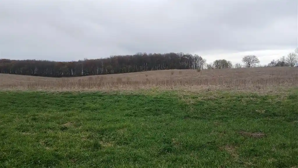 Homes for sale in Bloomer, WI | 62 Acres 82Nd St, Bloomer, WI 54724 | MLS# 1600448