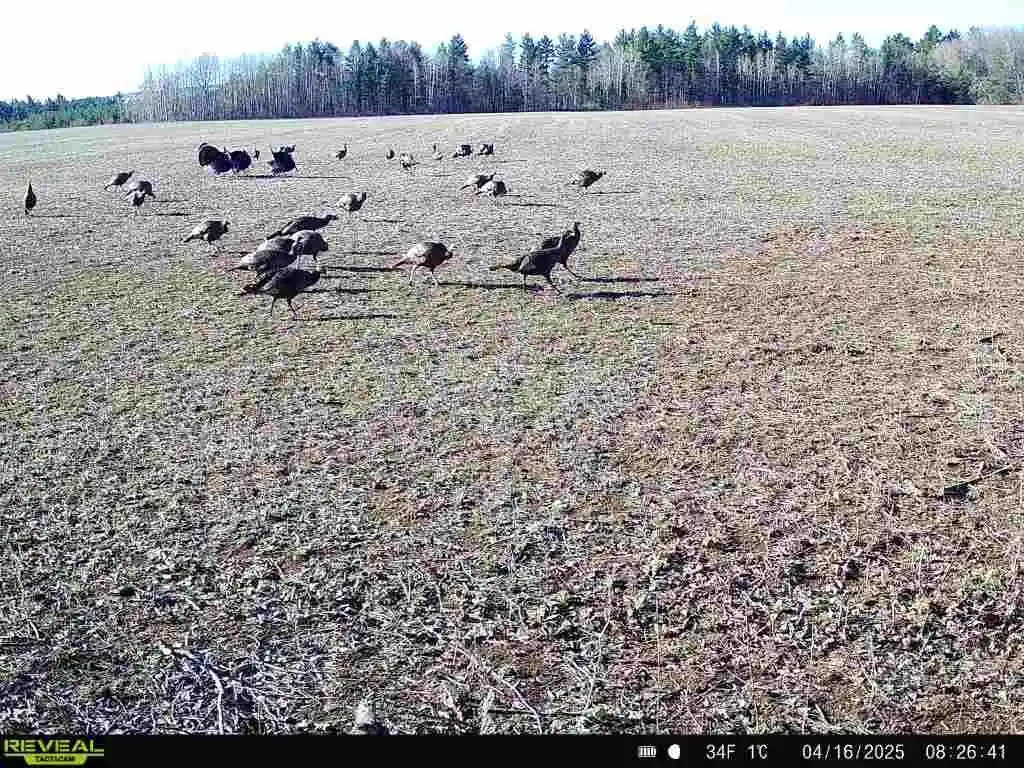 2nd image of 120 Acres Mol Stettin Dr Dr, Wausau, WI 54401 | MLS# 22601766