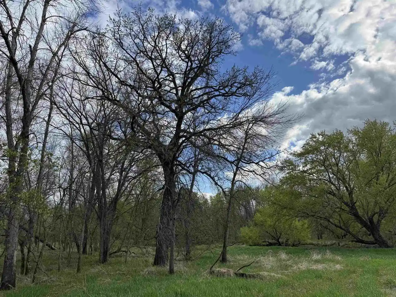 4th image of 10054 Acres Katuin Road Road, La Valle, WI 53941 | MLS# 2022091