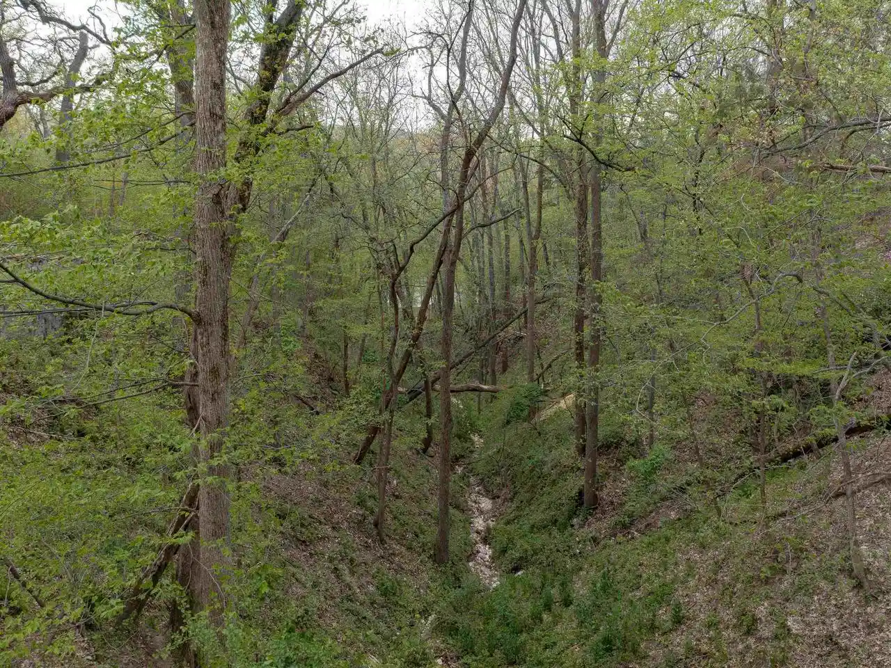 Photo 4 of Land for sale at 1 Bunny Trail Trail, Janesville, WI 53545 | MLS# 2022092 | Listing updated on 2026-06-15