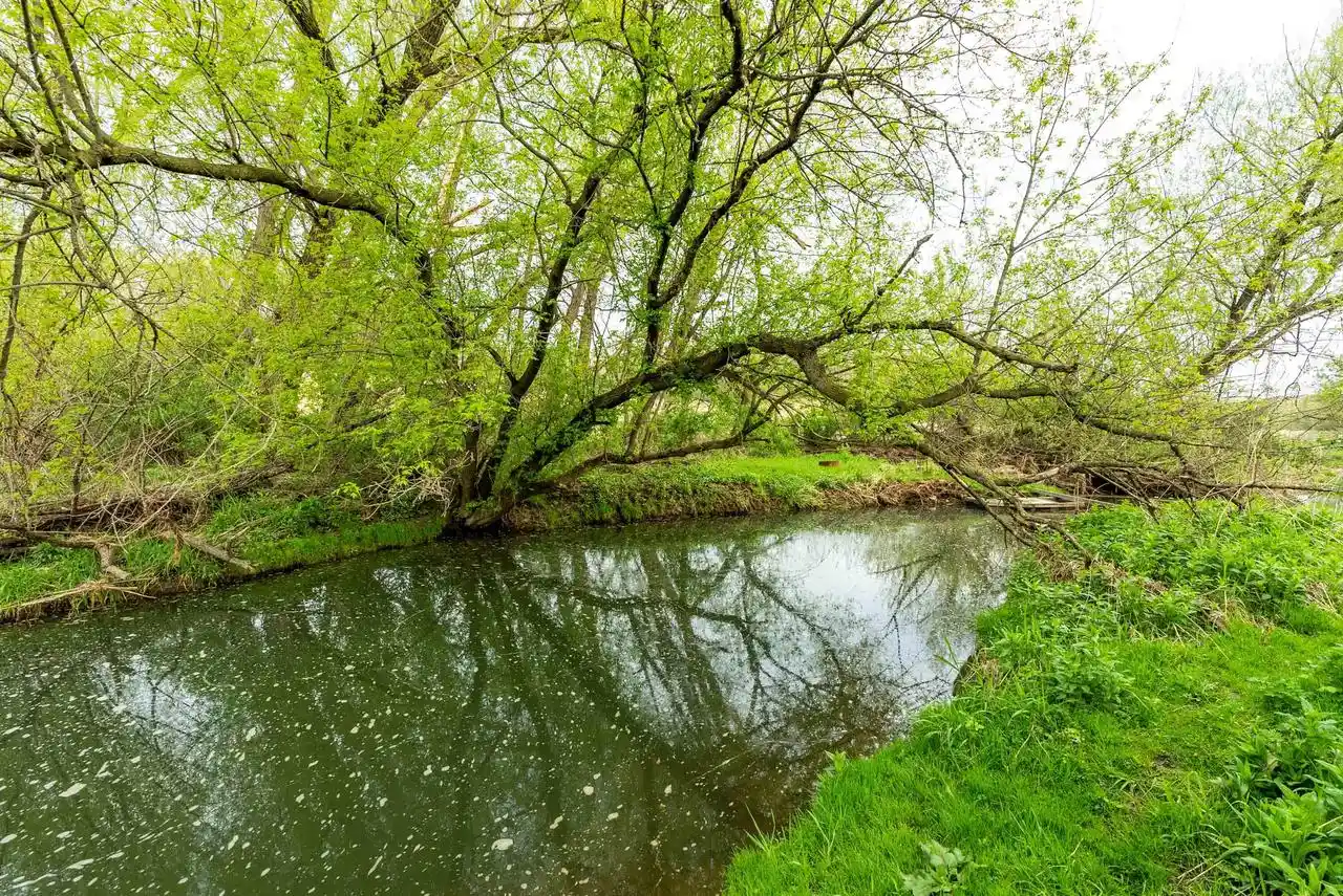 Photo 2 of Land for sale at Lt0 Eli Valley Road Road, Loganville, WI 53943 | MLS# 1960380 | Listing updated on 2026-08-05