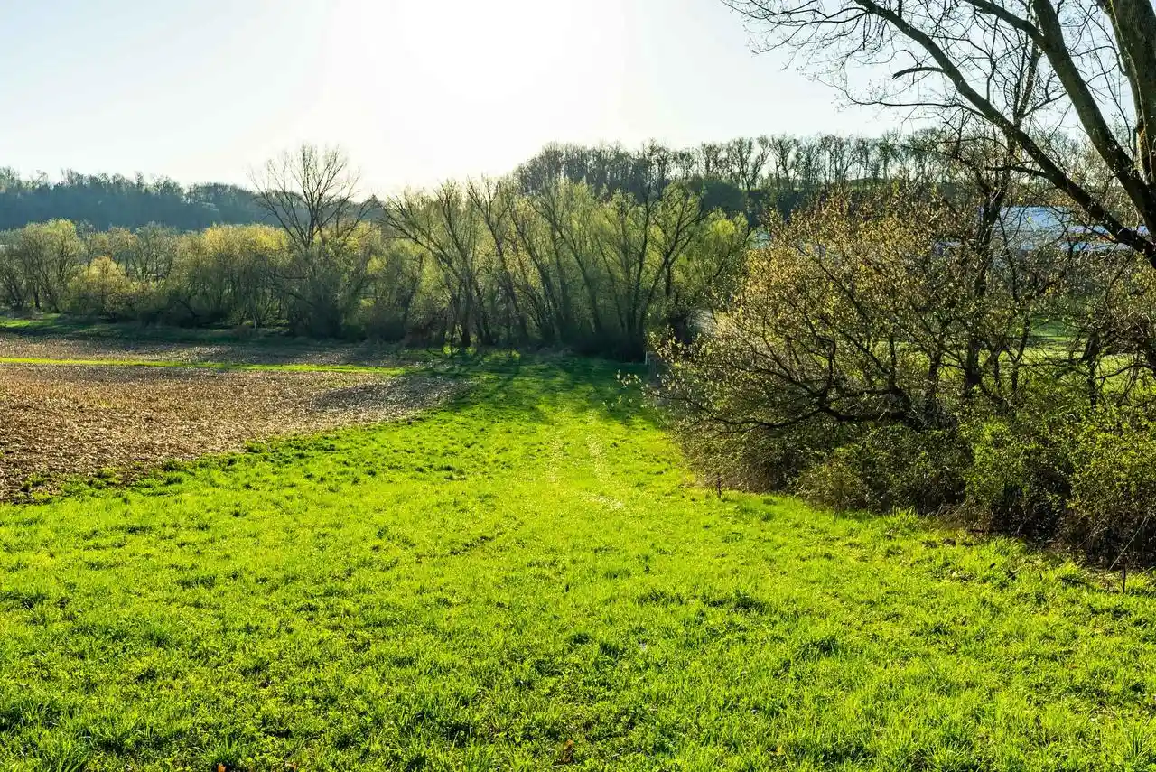 Photo 3 of Land for sale at Lt0 Eli Valley Road Road, Loganville, WI 53943 | MLS# 1960380 | Listing updated on 2026-08-05