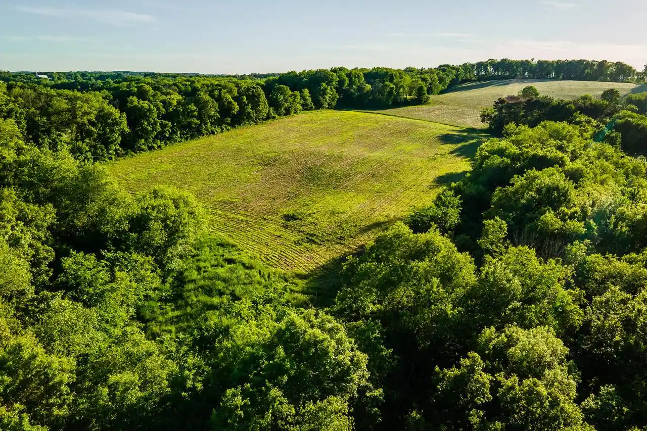 Photo 4 of Land for sale at Lt0 Eli Valley Road Road, Loganville, WI 53943 | MLS# 1960380 | Listing updated on 2026-08-05