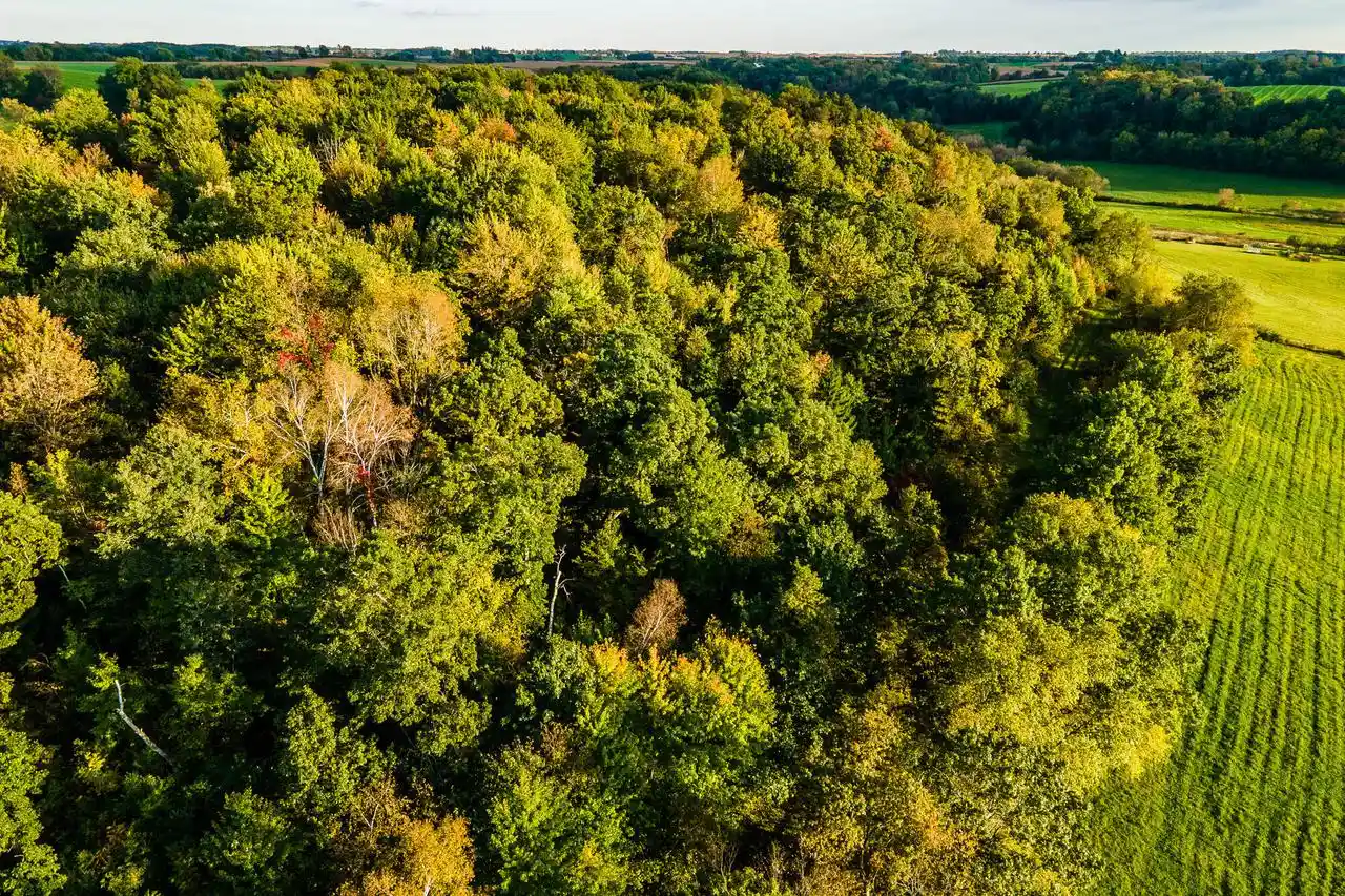 Photo 51 of Land for sale at Lt1 Eli Valley Road Road, Loganville, WI 53943 | MLS# 1960384 | Listing updated on 2026-10-01