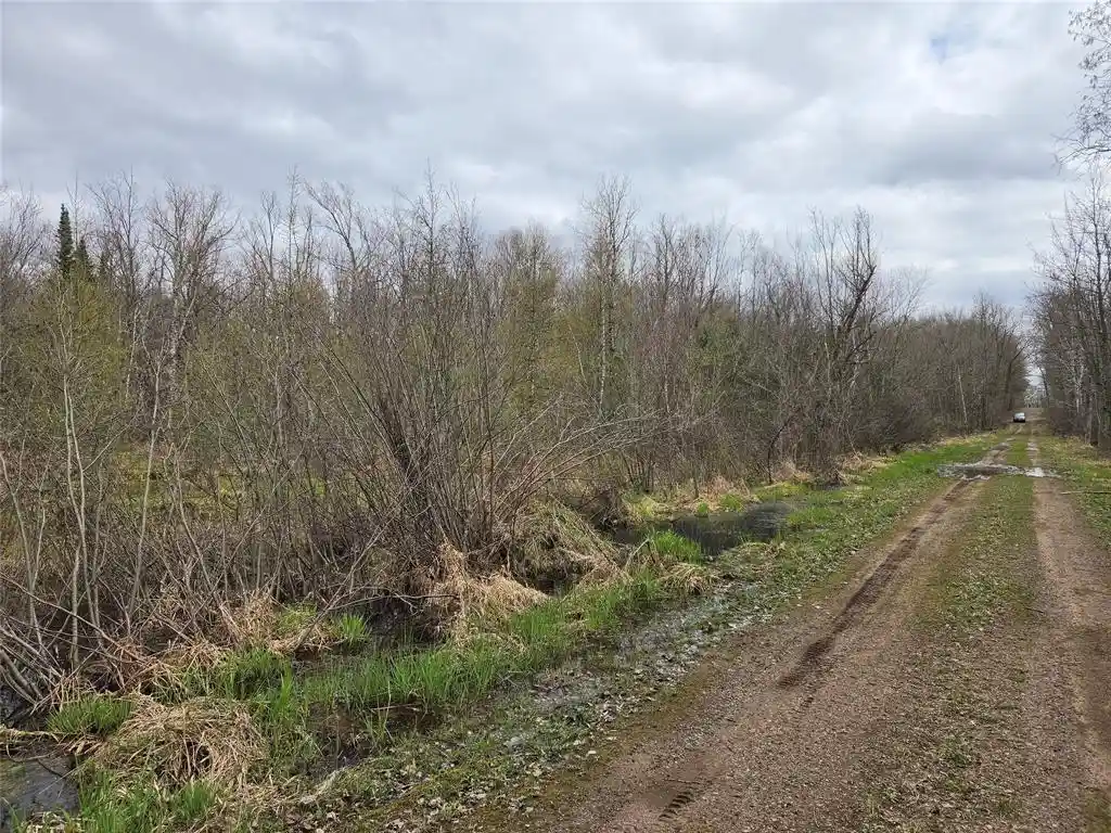 Homes for sale in Hayward, WI | 12xxx Olson Road Road, Hayward, WI 54843 | MLS# 1600628