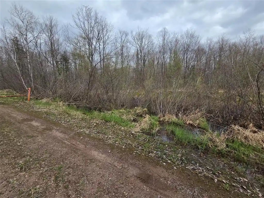 Homes for sale in Hayward, WI | 12Xxx Olson Road Road, Hayward, WI 54843 | MLS# 1600628