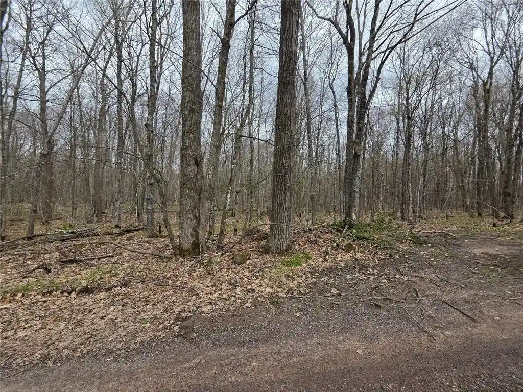 Homes for sale in Hayward, WI | 12xxx Olson Road Road, Hayward, WI 54843 | MLS# 1600628