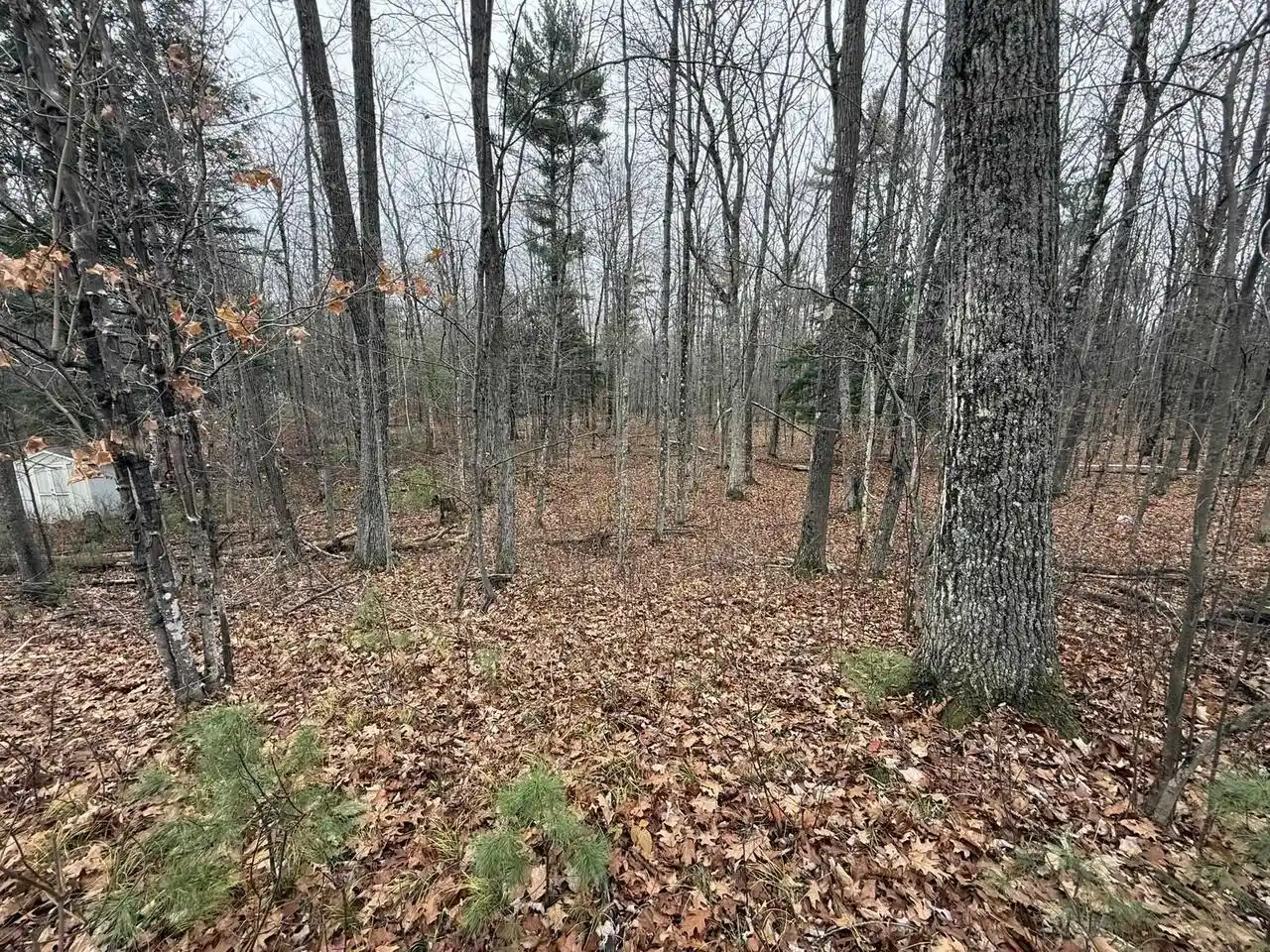Homes for sale in Wausaukee, WI | Roush Road Road, Wausaukee, WI 54177 | MLS# 50324689