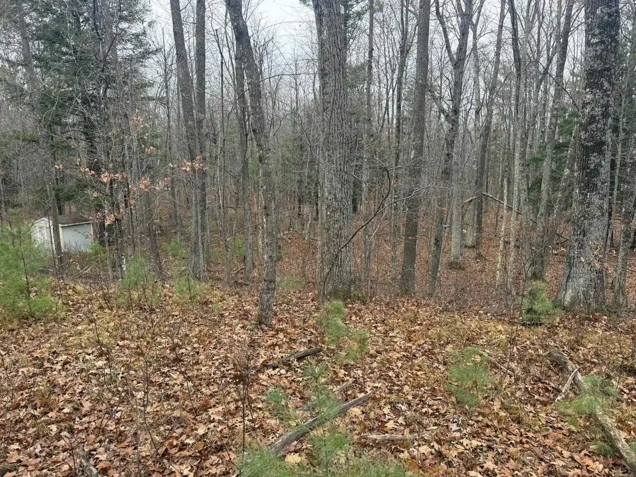 Homes for sale in Wausaukee, WI | Roush Road Road, Wausaukee, WI 54177 | MLS# 50324689
