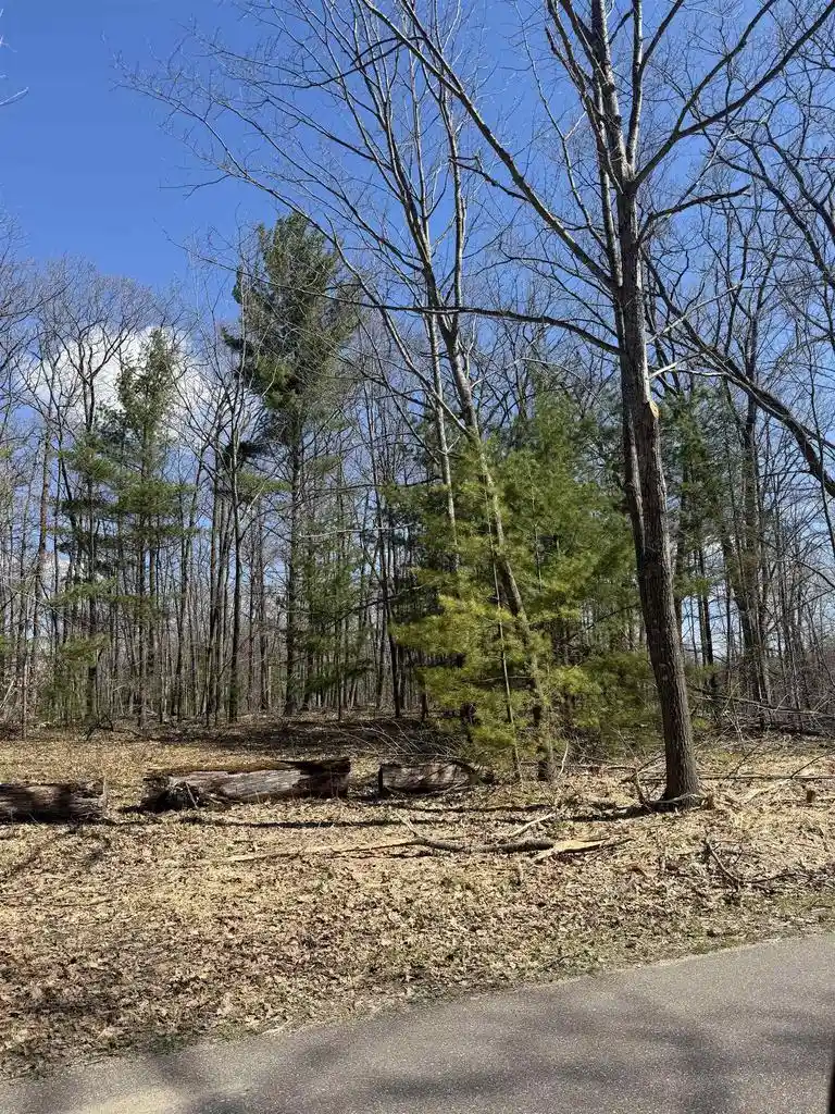 1st image of Archibald Lake Road Road, Townsend, WI 54175 | MLS# 50324765