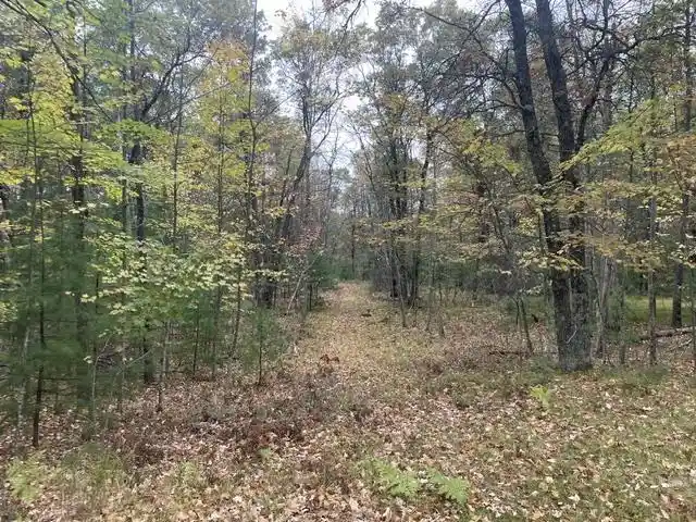 5th image of W9808 Trout Haven Road Road, Dunbar, WI 54119 | MLS# 50324777