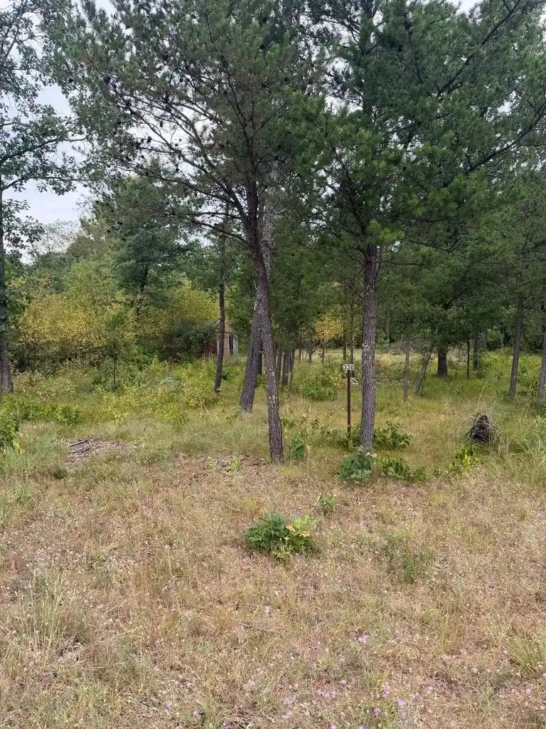 Photo 4 of Land for sale at 330 Blue Waters Trail Trail, Nekoosa, WI 54457 | MLS# 2022377 | Listing updated on 2026-08-03