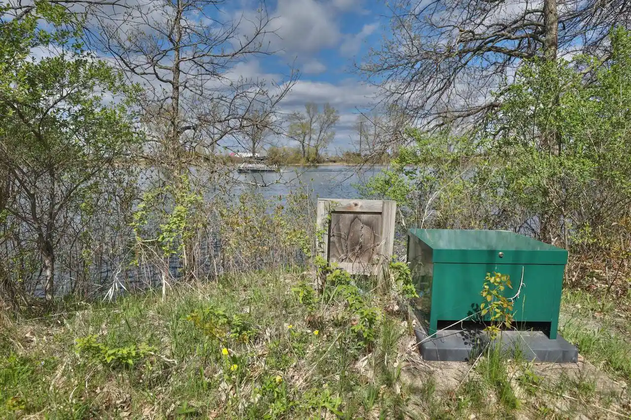 5th image of 000 Us Hwy 12, Tomah, WI 54660 | MLS# 2022445