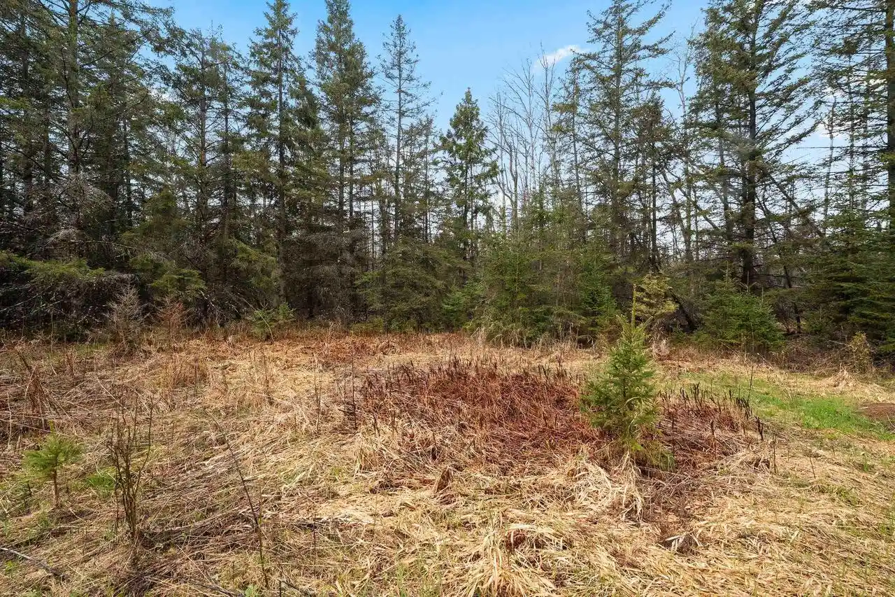 Homes for sale in Pound, WI | W 16th Road Road, Pound, WI 54161 | MLS# 50324897