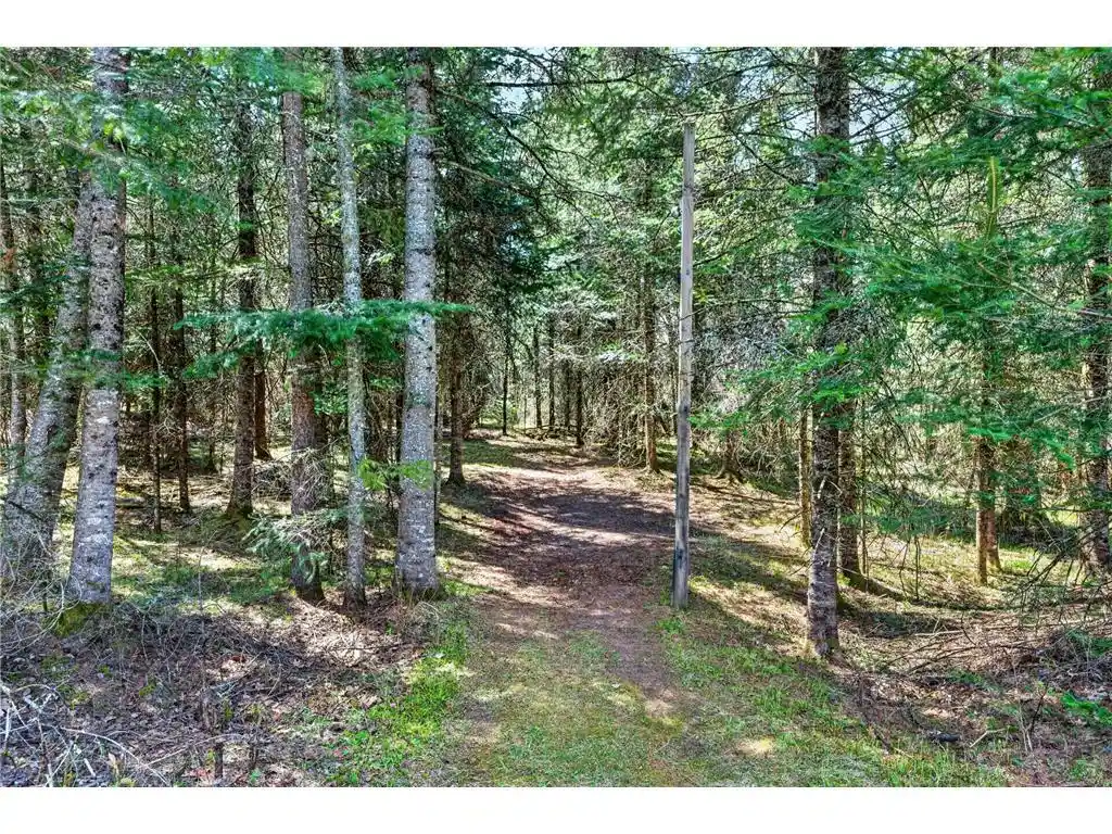 Homes for sale in Winter, WI | 8225 N Blaisdell Lake, Winter, WI 54896 | MLS# 7068617
